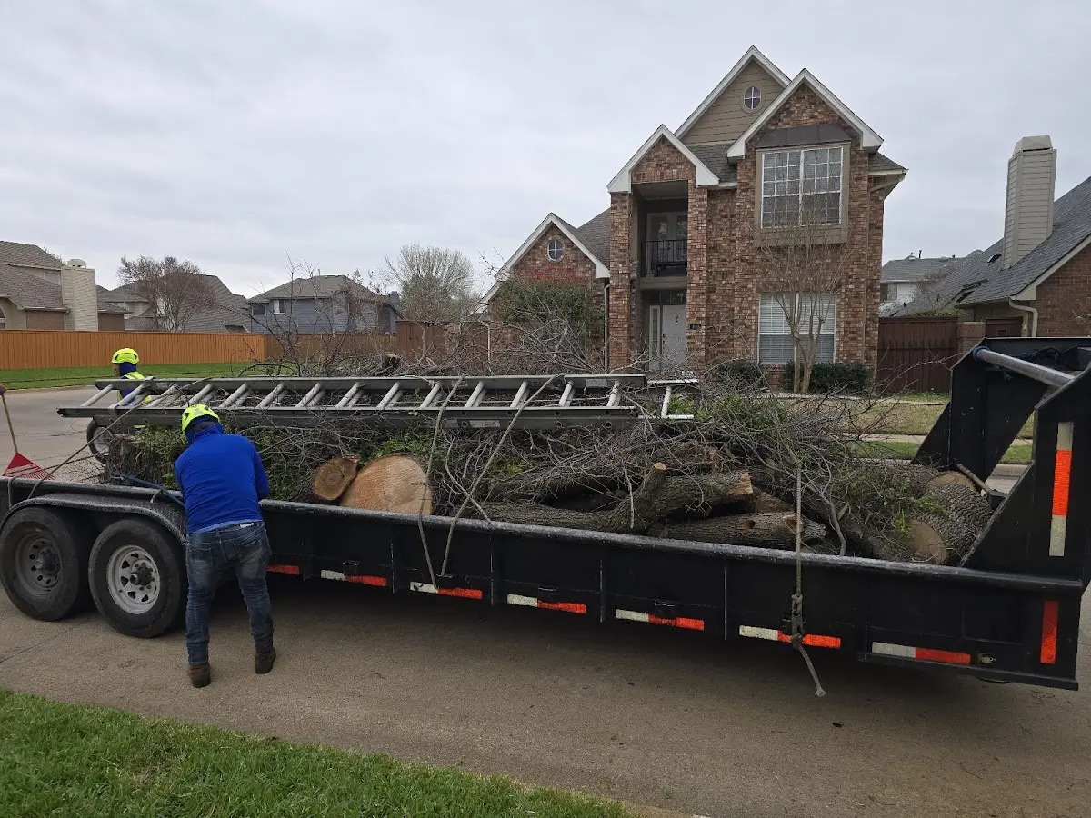 Expert Tree Pest Control with proper safety equipment in S Coffeyville